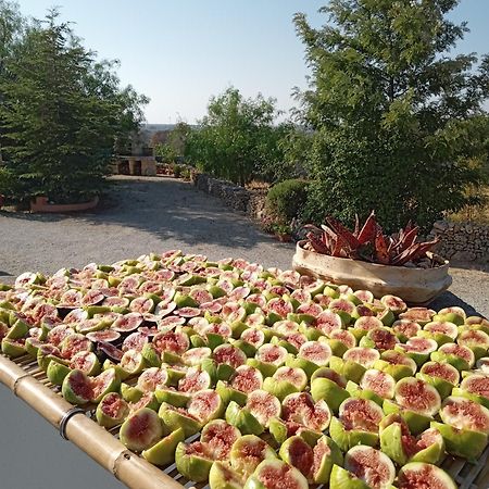 Oniro Specchia Bed & Breakfast Bagian luar foto