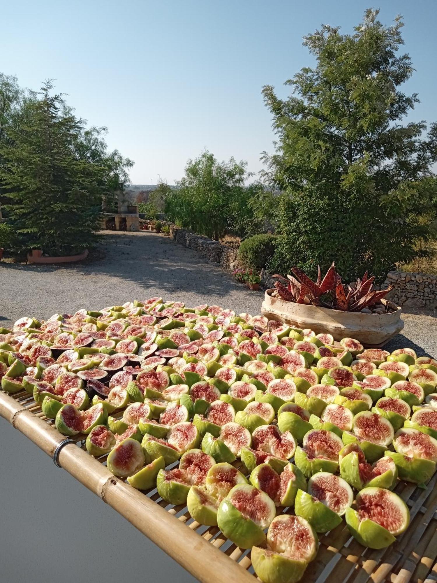 Oniro Specchia Bed & Breakfast Bagian luar foto
