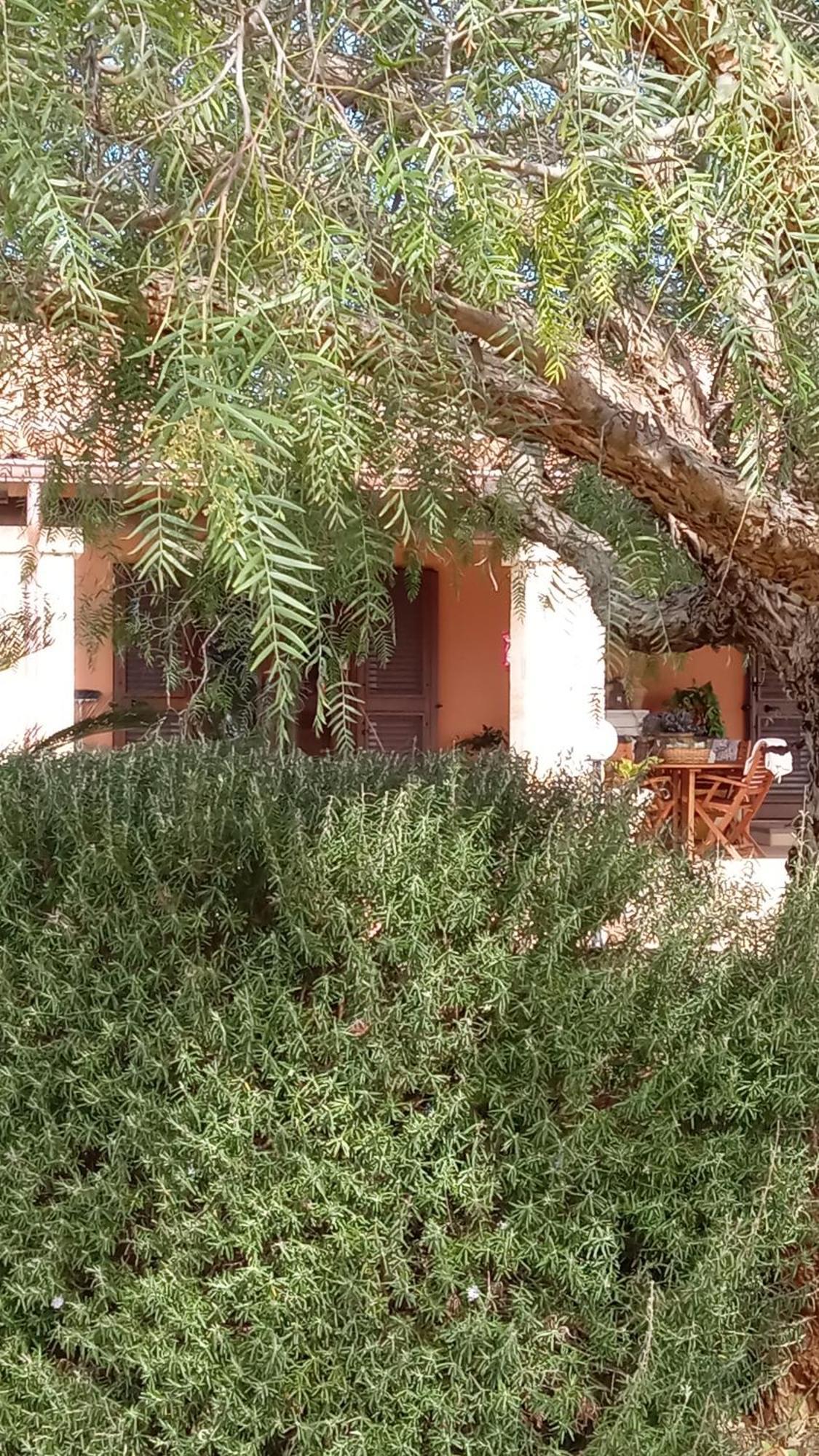 Oniro Specchia Bed & Breakfast Bagian luar foto